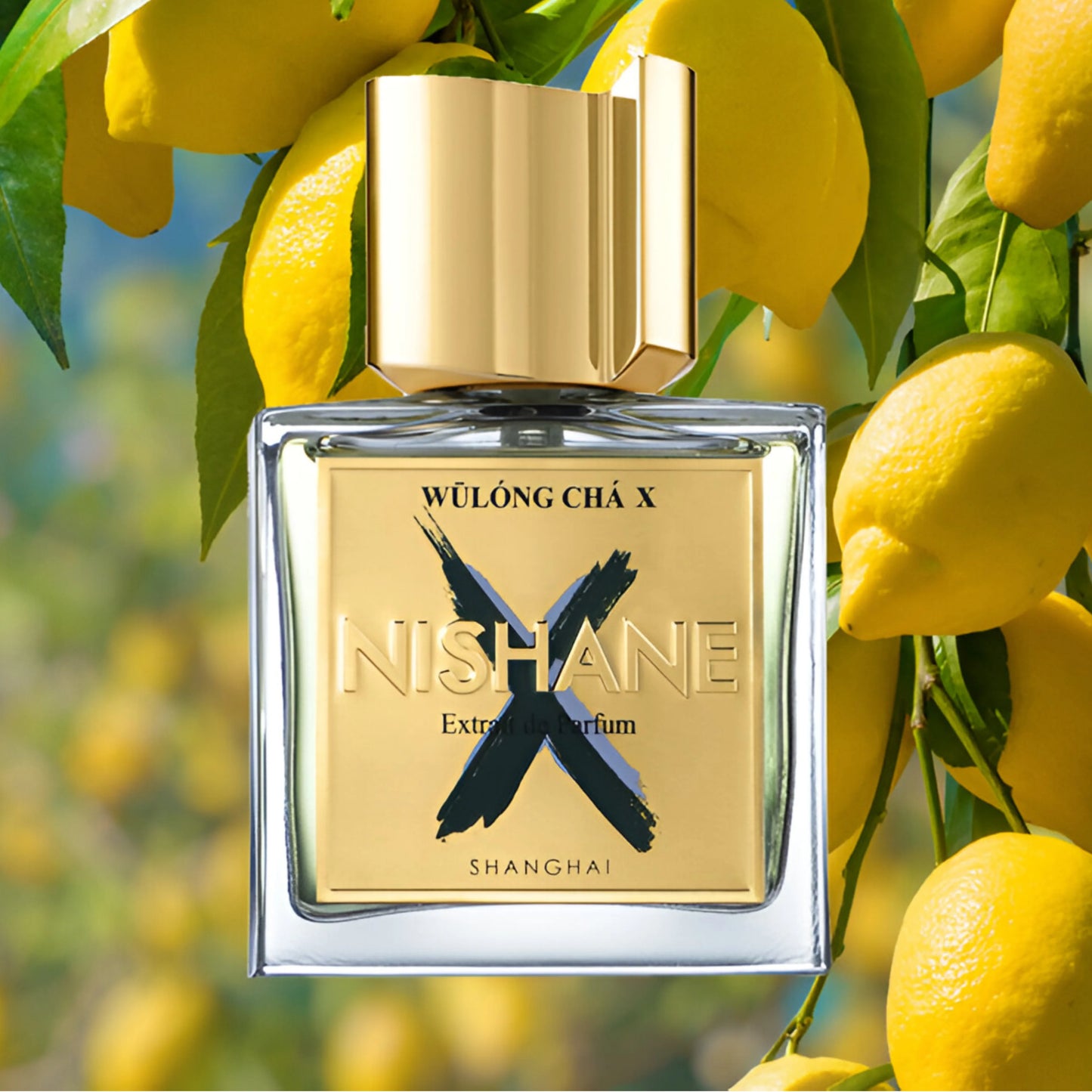 Nishane Wulong Cha X