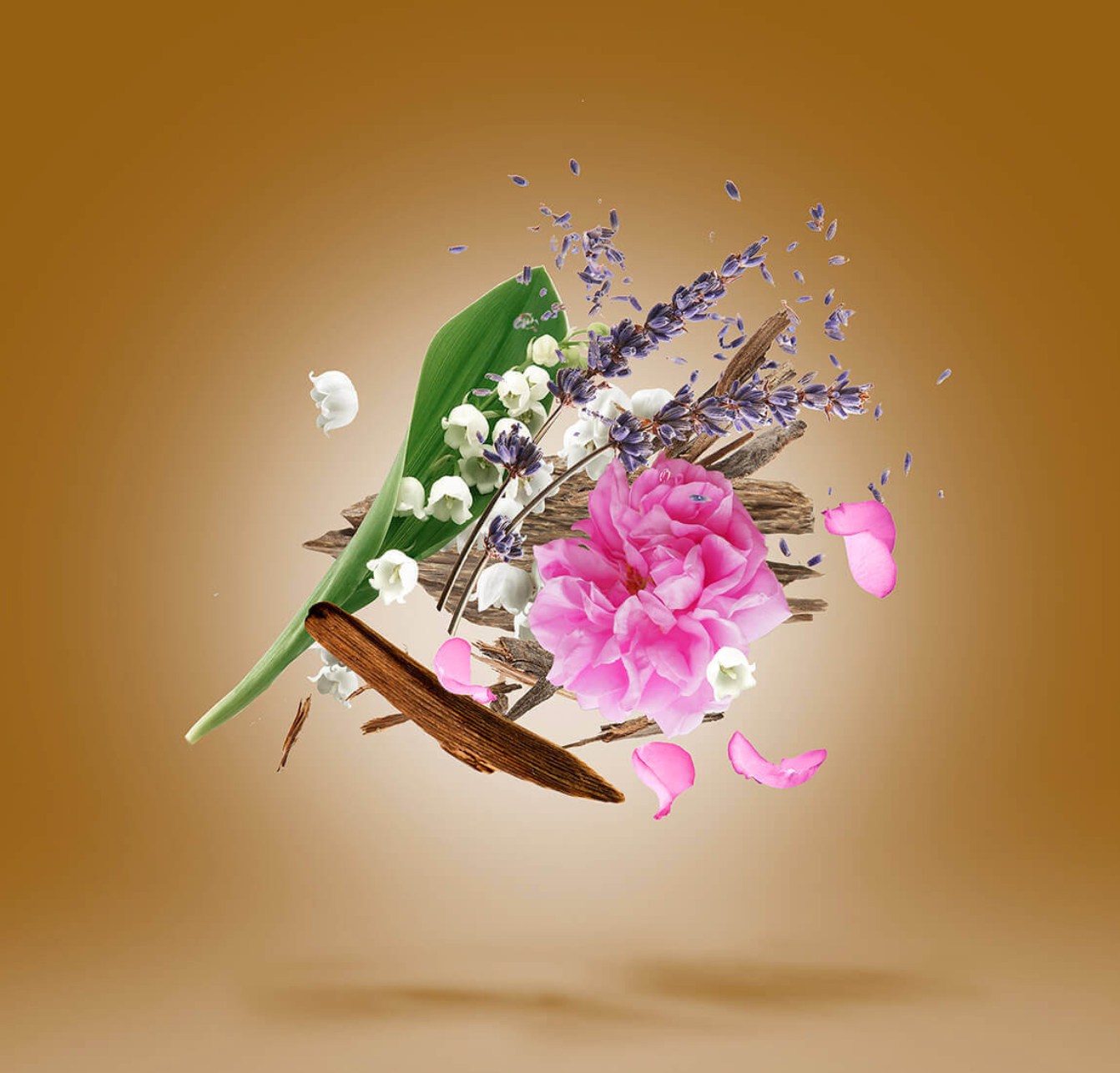 Xerjoff Alexandria II | Alexandria II notes | Fragrance Samples|Perfume samples