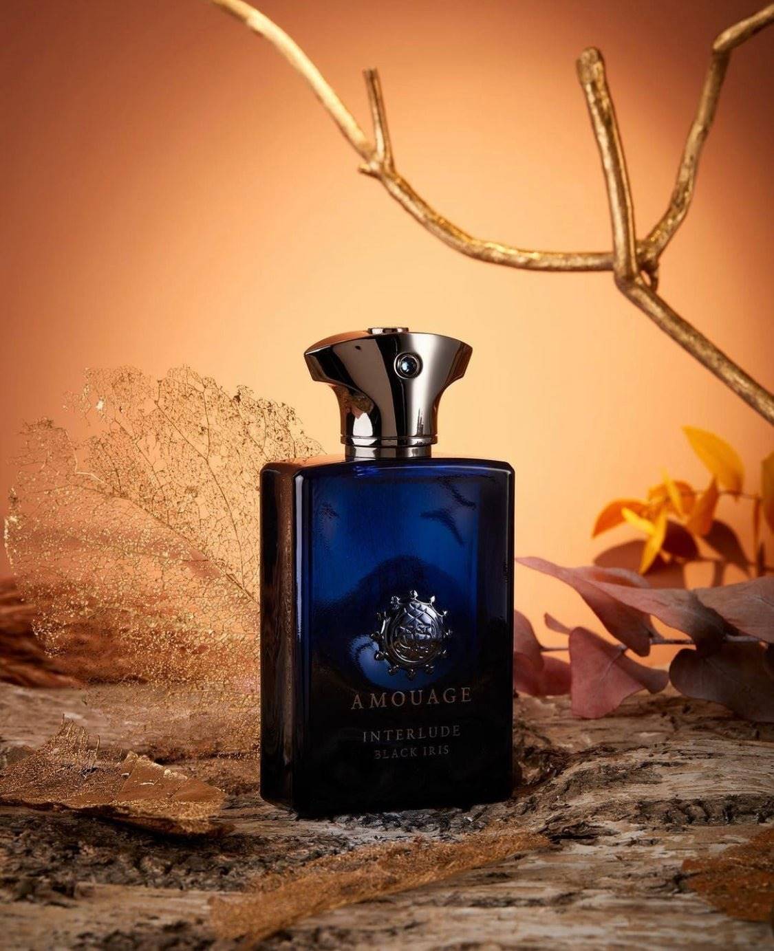 Interlude Black Iris Perfume Amouage Sample The Decant Den