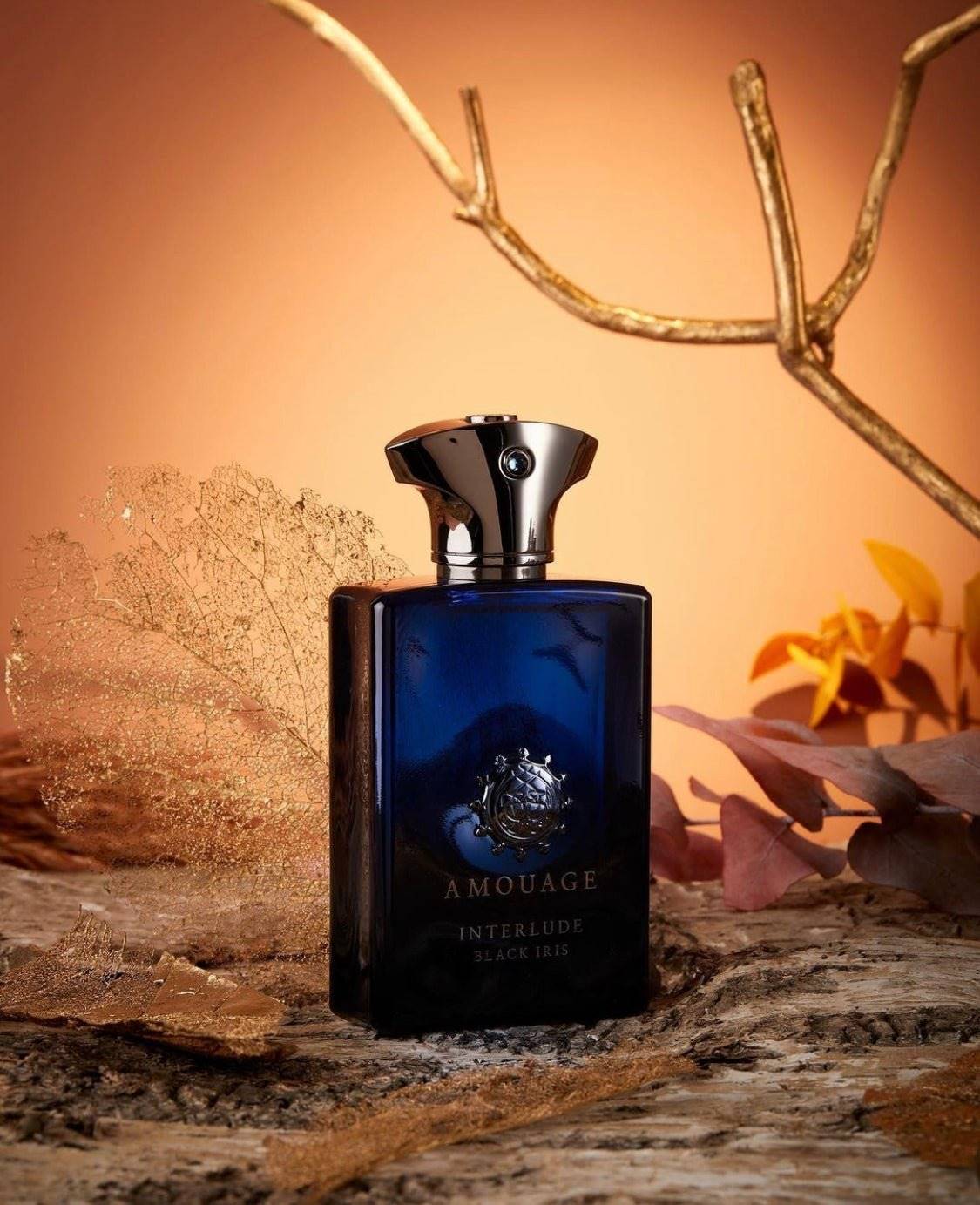 Interlude Black Iris Perfume | Amouage Unisex Perfume | The Decant Den